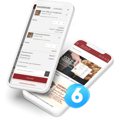 Der Gilgens Shopware 6 Onlineshop mit automatisiertem Warenwirtschaftssystem, eigens entwickelten Blogbereich und starken SEO-Inhalten.