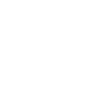 Icon Globus