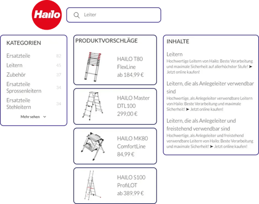 csm_shopware-doofinder-burgdigital-hailo-funktionen_8b735caf6e