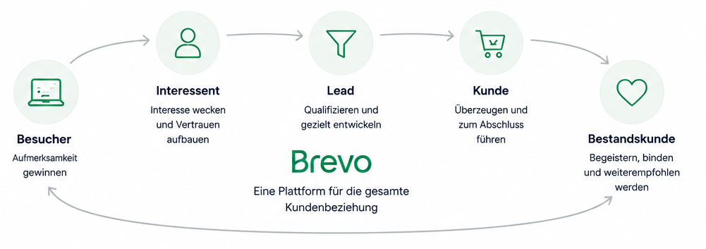 dummy-brevo-3