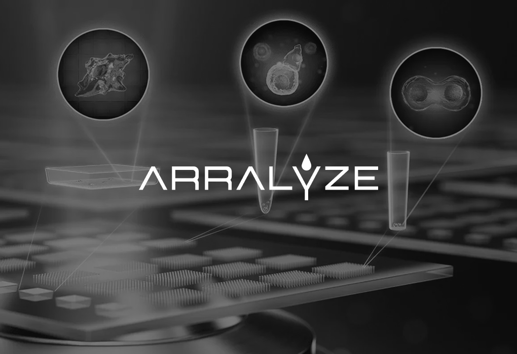 B2B Performance Marketing mit HubSpot Automation